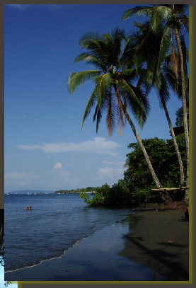  This is the beach of a great oceanfront property in Puerto Jimenez downtown ! this land ahs approved Zoning Plan for Hotel development, and all the features for to be the first choice for an oculate investor that is looking for an high revenue oceanfront real estate  in the Golfo Dulce, Osa Peninsula, South Pacific coast of Costa Rica